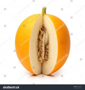 Yellow Honeydew Melons Isolated On White Stock Photo (Royalty Free ...