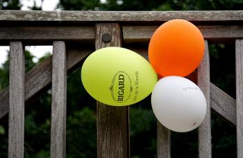 Yellow Orange and White Balloon Beside Gray Wooden Fence