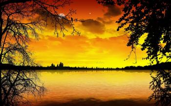 Misc: Sea Clouds Sunset Birds Nature Paradise Trees Yellow Full HD ...