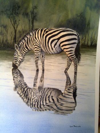 One of my best so far - Zebra in the reflection series Lovely ...
