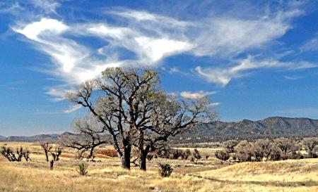 08oa - SAN RAFAEL VALLEY GRASSLANDS, SE of Patagonia, scc, az (3-10-2017) -02 WATERCOLOR via Photoshop