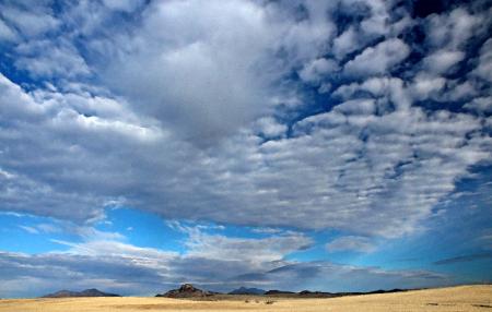 08p - SAN RAFAEL VALLEY GRASSLANDS, SE of Patagonia, santa cruz co, az (2-17-2017) -09 WATERCOLOR via Photoshop