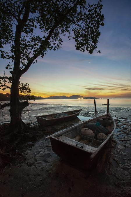 2 Boats on Seashore Beside Brown Tree