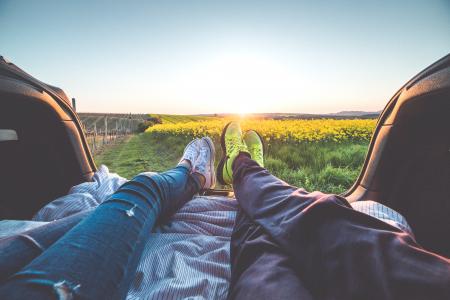 2 People Sitting With View of Yellow Flowers during Daytime