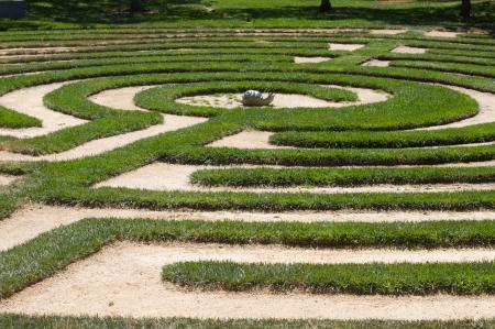 2010/365/217 Labyrinth Here?