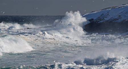 2011 - FEB 12 - 22 - NEWFOUNDLAND -059 Cape Spear after the storm (30h)