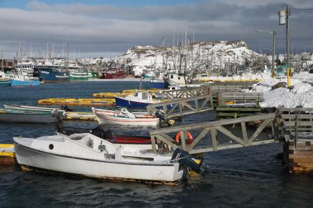 2011 - FEB 12 - 22 - NEWFOUNDLAND -077 Port de Grave (6)