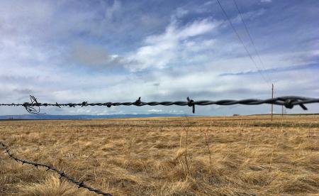 2018/365/132 Signals on the Wire