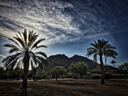 2018/365/84 Camelback Mountain Through Two [not ferns] Palms