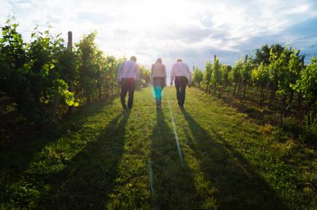 3 Person Walking on Green Grass Between Green Plants at Sunrise