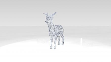 3D Deer Wireframe