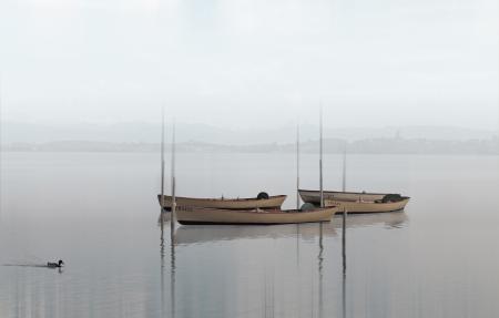 4 White Canoe on Calm Body of Water