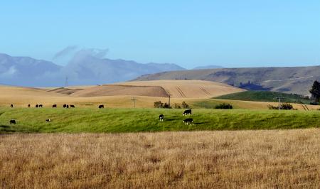 A rural setting. Fairlie. NZ