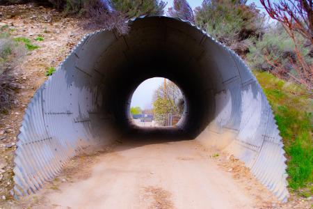 A short tunnel in the forest along the road