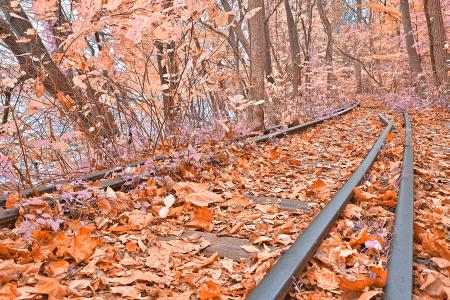 Abandoned Susquehanna Railroad - Fantasy Express HDR