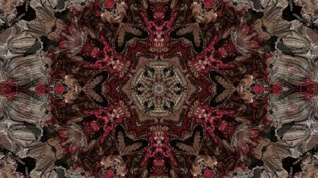 Abstract Fractal Art Wallpaper