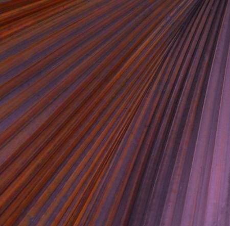 Abstract Palm Leaf Background