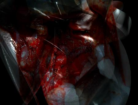 Abstract textured shape