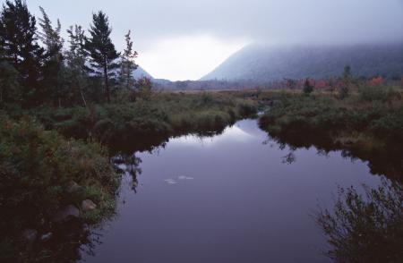 Acadia National Park Autumn