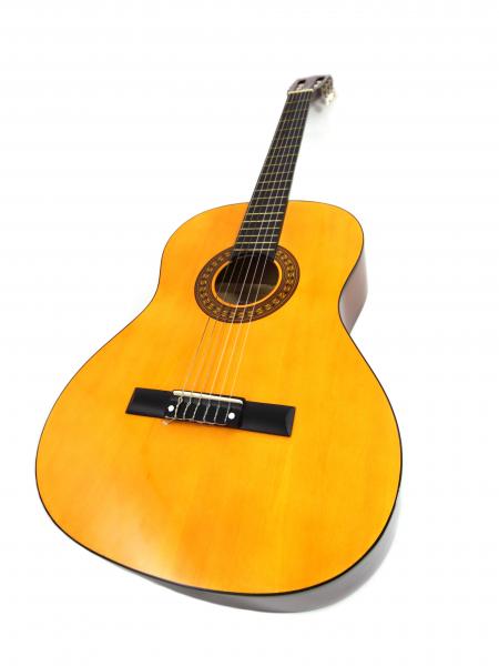 Acoustic Guitar