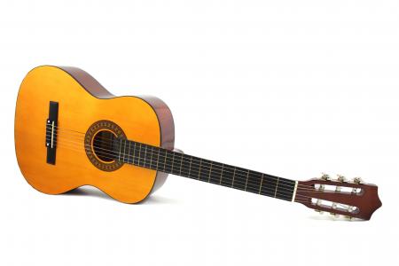 Acoustic Guitar