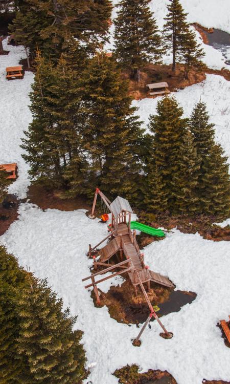 Aerial Photo of Brown Swings With Slides Near Trees