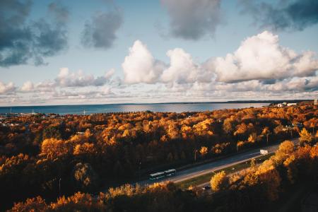 Aerial Photo of Car on the Road Surrounded by Brown Trees Under Alto Cumulus Clouds and Clear Blue Sky