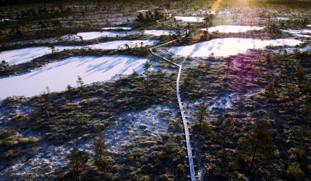 Aerial Photo of Frozen Lakes Surrounded by Trees