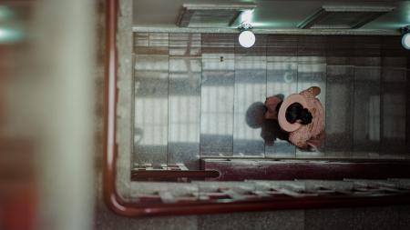 Aerial Photo of Person Walking Stairs