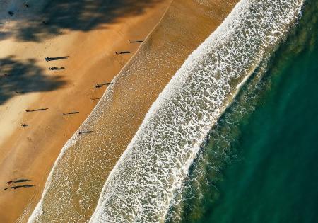 Aerial Photo of Sea Shore