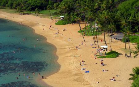 Aerial Photography of Beach