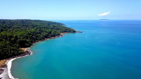 Aerial Photography of Body of Water