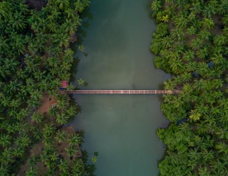 Aerial Photography of Brown Wooden Foot Bridge Connecting Two Forests