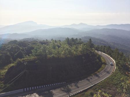 Aerial Photography of Curved Concrete Road Beside Green Trees