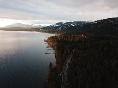 Aerial Photography of Dense Forest Near Body of Water