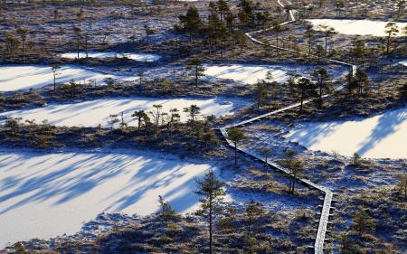 Aerial Photography of Frozen Lakes Surrounded by Trees