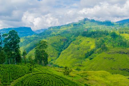 Aerial Photography of Green Mountains