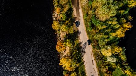 Aerial Photography of Road Between Trees on Body of Water