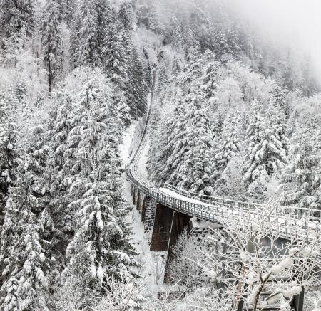 Aerial Photography of Train Rail Between Winter Trees