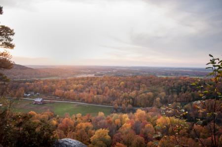 Aerial Photography of Yellow Leaf Trees Under Nimbus Clouds