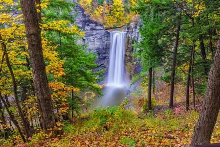 Aerial Shot of Water Fall