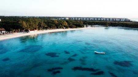 Aerial View of Beach