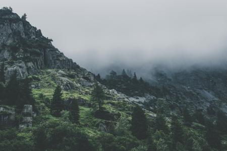 Alpine Mountain Range