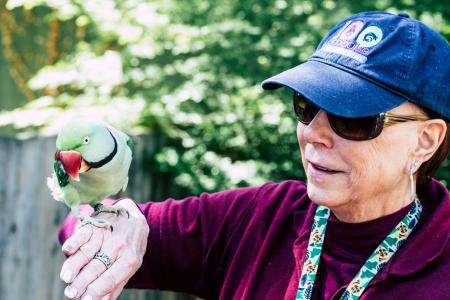 An elderly woman in a baseball cap plays with a colorful parrot in the reserve