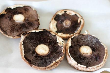 An old Mushroom