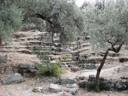 Ancient amphitheater in Herakleia