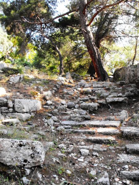Ancient stairs in Phazelis