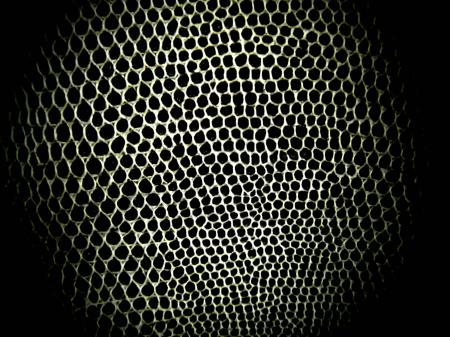 Animal Skin B&W Background