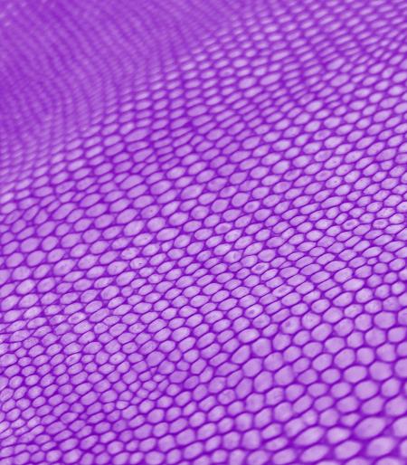 Animal Skin Texture