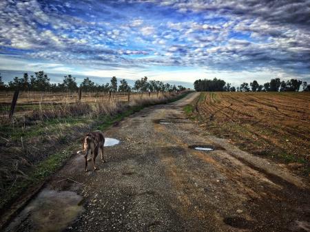 Another Day, Another Walk Down The Driveway